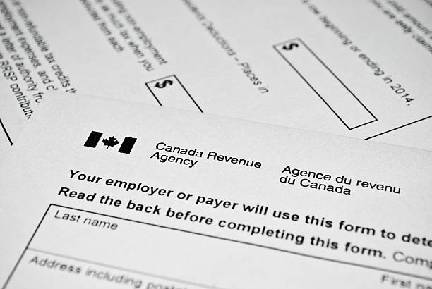 Everything You Need to Know as a First-Time Tax Filer in Canada